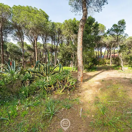 Seaside Pineta Retreat Villa Pula Exterior photo