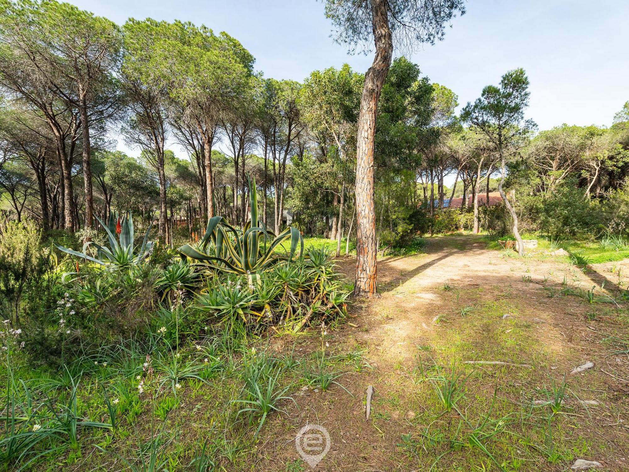 Villa Seaside Pineta Retreat Pula